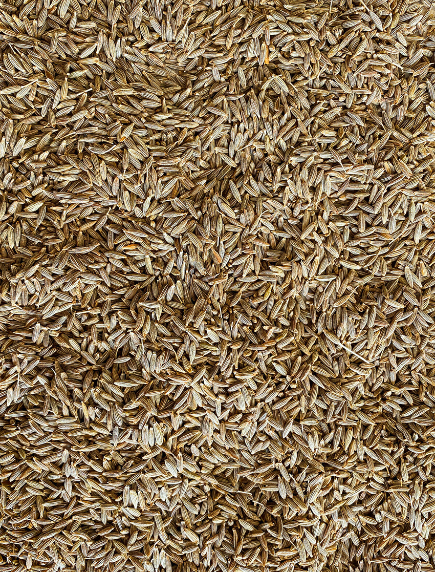 Cumin