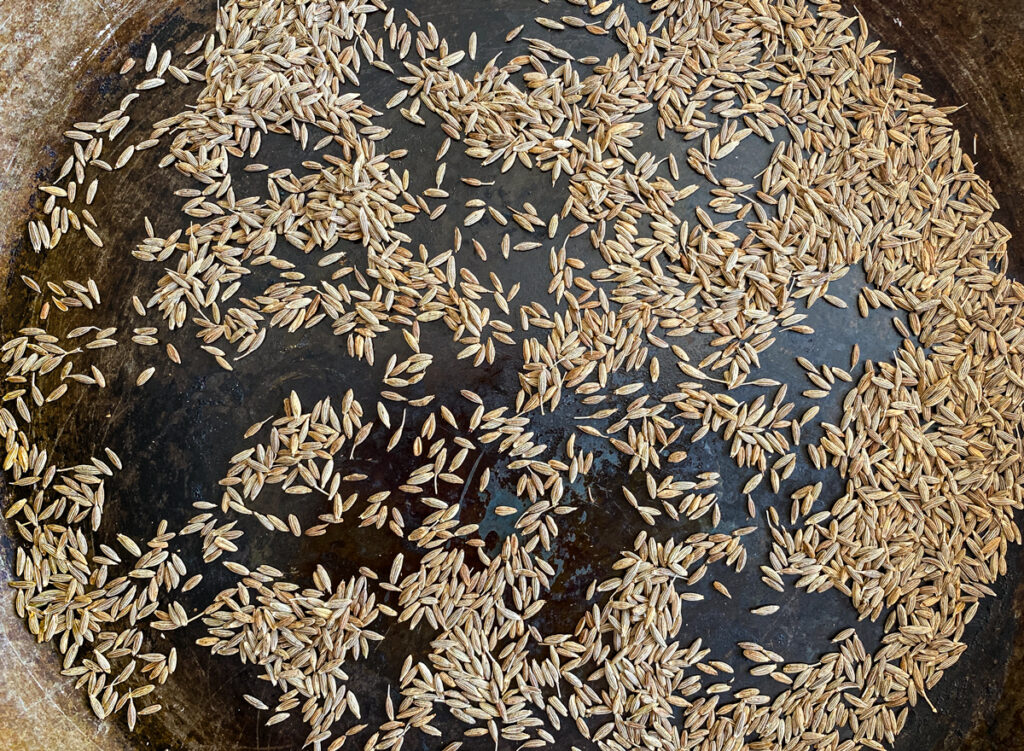 What is cumin and how to use it in cooking