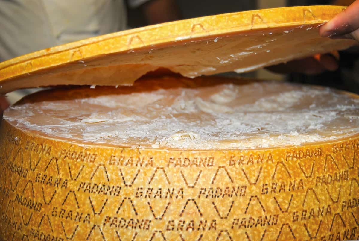 Grana Padano Wheel