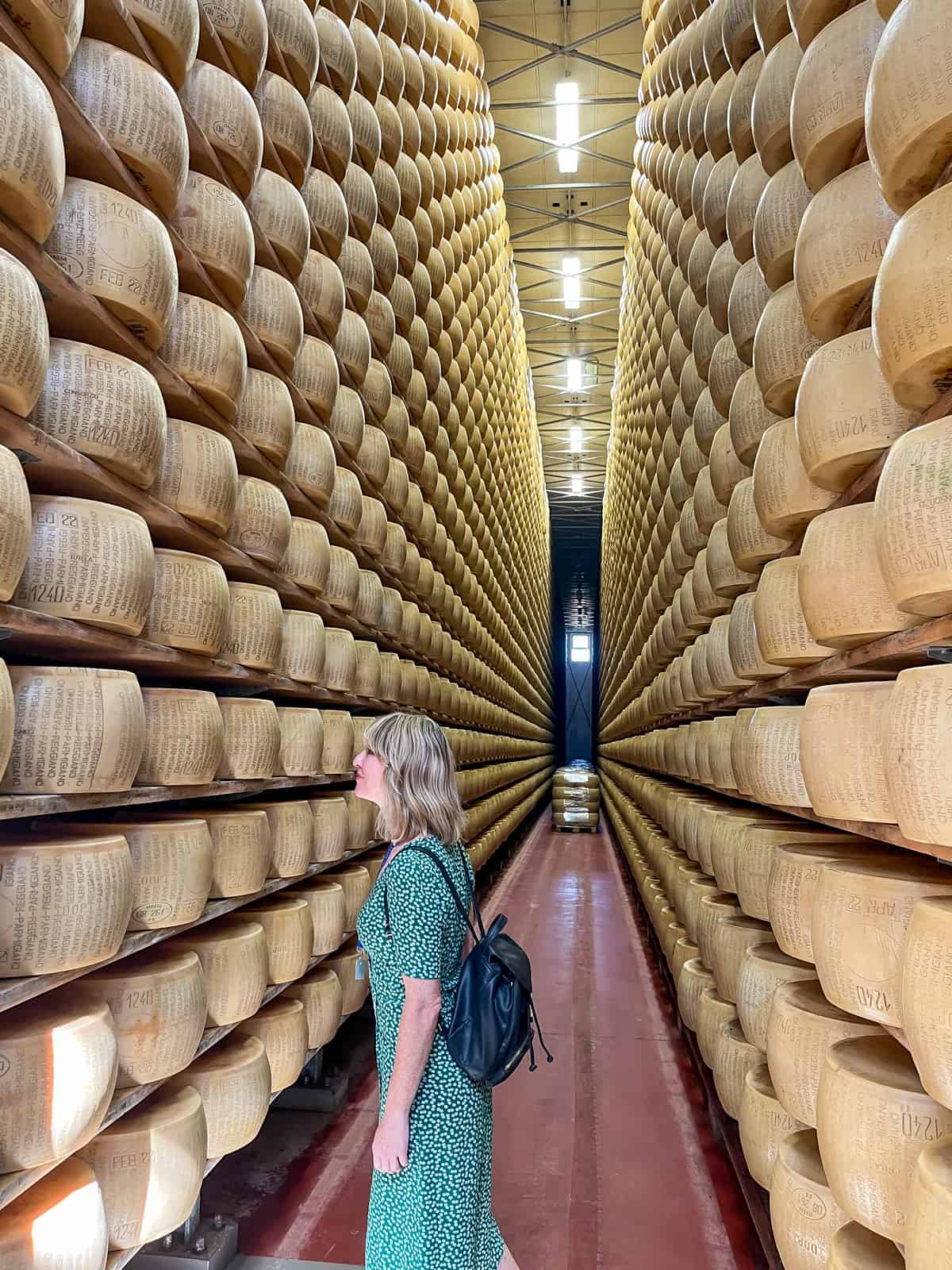Parmigiano Reggiano Production Modena Italy