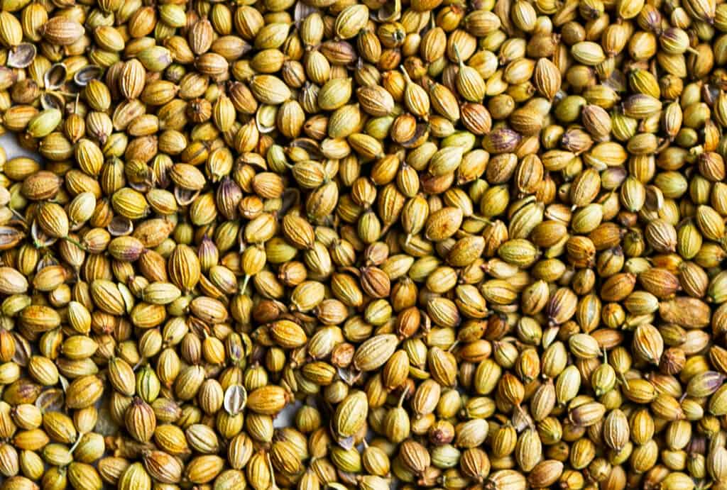 What Are Coriander Seeds